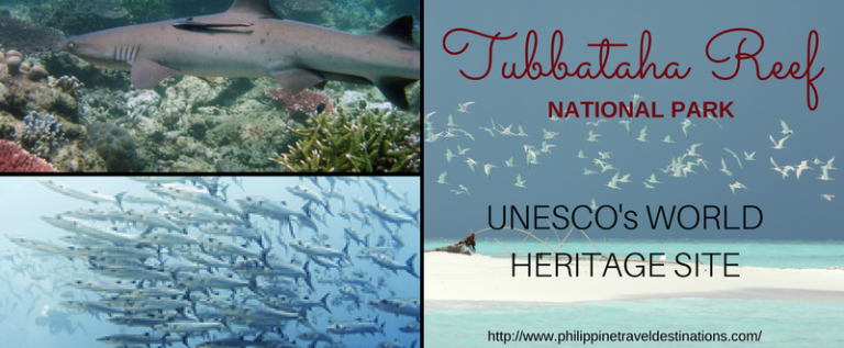 Tubbataha Reef National Park Philippines