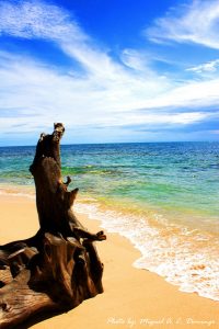 Potipot Island Zambales Philippines